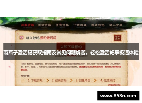 雨燕子激活码获取指南及常见问题解答，轻松激活畅享极速体验