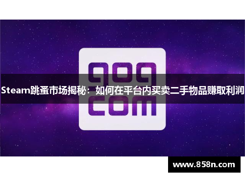 Steam跳蚤市场揭秘:如何在平台内买卖二手物品赚取利润